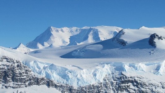 Hojas fosilizadas evidencian la existencia de bosques en la Antártida hace 58 millones de años
