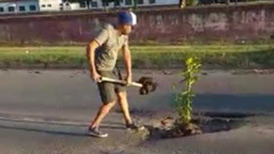 Plantó un árbol en un pozo de una calle en la que se le rompió el auto