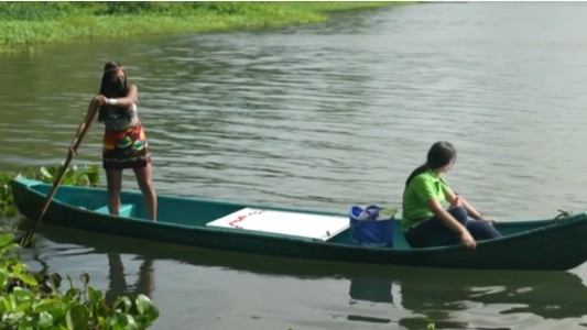 Video: maestra lleva las clases en canoa a niños indígenas de Panamá