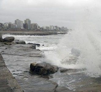 Temporal en la costa: Más de 30 arboles caídos y algunos barrios sin electricidad en Mar del Plata