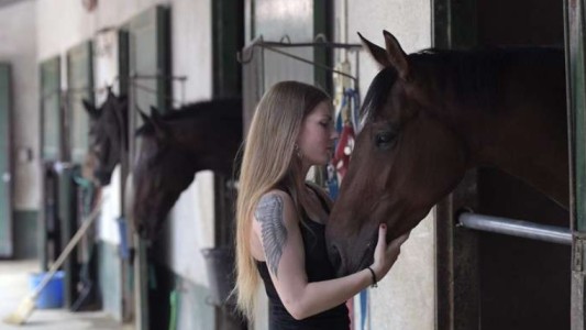 Nuevo estudio: el caballo comprende mejor cuando se le habla como a un bebé