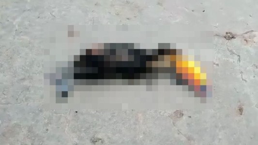 Un murió electrocutado al rozar un cable de alta tensión: varias localidades quedaron sin luz