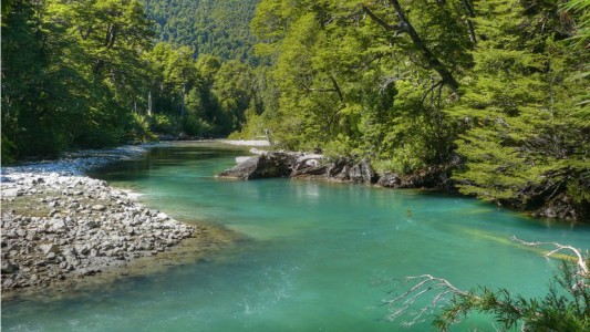 La Unesco declaró al Parque Nacional Los Alerces Patrimonio de la Humanidad