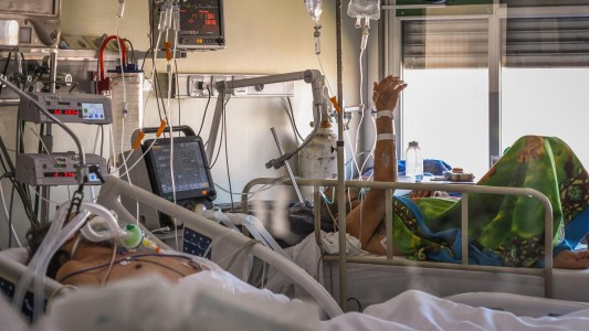 Coronavirus en Argentina: reportan 82 muertos y 9.902 casos en las últimas 24 horas