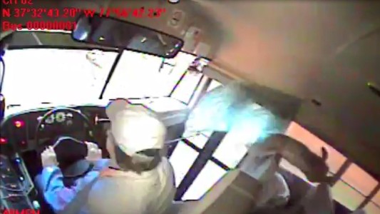 El momento en que un ciervo choca contra el parabrisas de un micro escolar