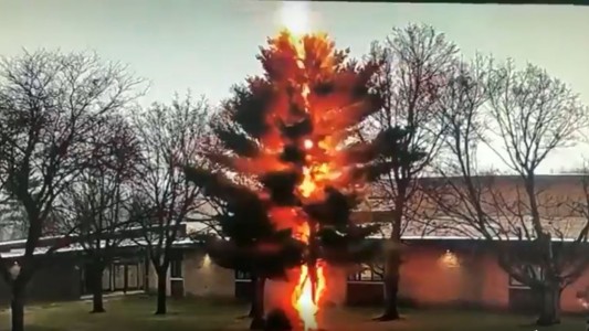 El momento en que un rayo incendia un árbol y lo desintegra