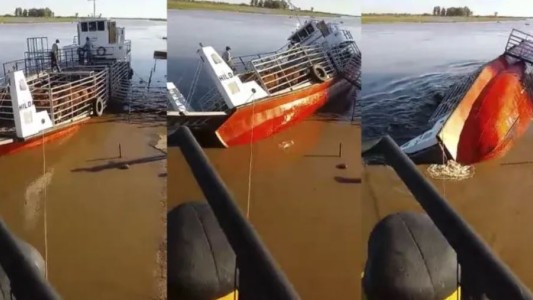 El momento en que se da vuelta una embarcación con vacas