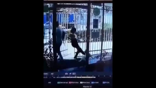 Video de terror: brutal patada de una mujer a un perro en la puerta de un edificio