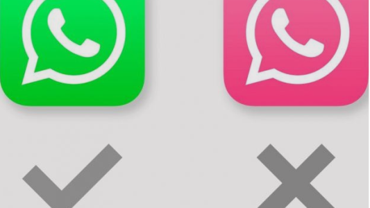 Alerta “rosa”, el virus que se apodera de tus datos