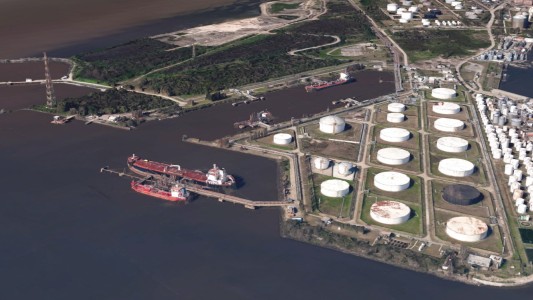 Instalarán un vivero productivo forestal de especies nativas en el Puerto Dock Sud