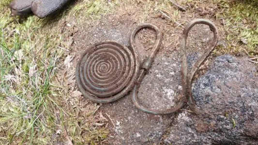 Salió a caminar por un bosque y halló un tesoro de hace 2500 años