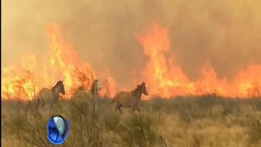 Incendios en San Luis