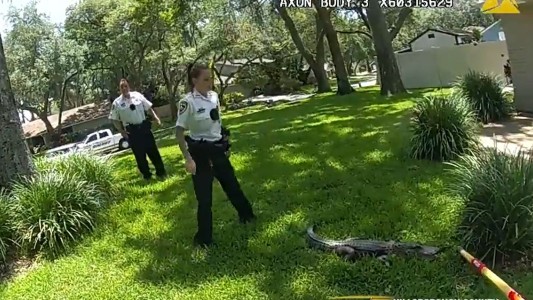 Mujer policía atrapa a un caimán con una escoba