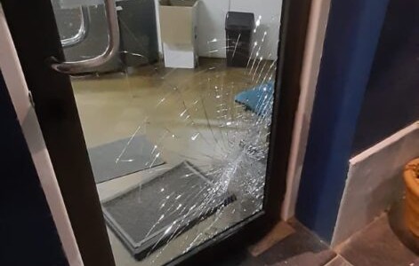 Un puma desorientado se estrelló contra la puerta de edificio municipal