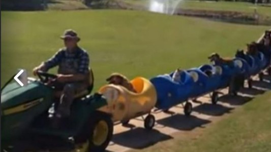 Tiene 80 años y construyó un tren para pasear a los perros abandonado