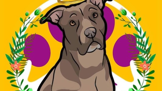 Piden justicia por "Luna", una perrita que fue enterrada viva por su dueña