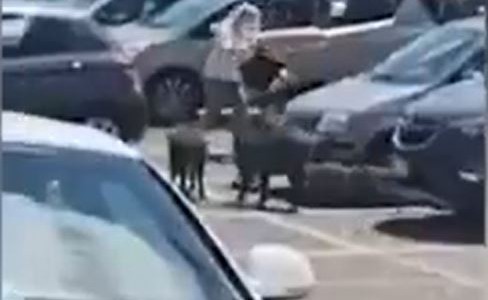 Así ataca un grupo de jabalíes a una mujer en un estacionamiento