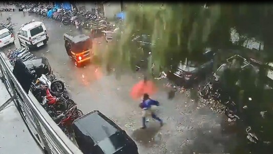 El momento en que una mujer escapa de la caída de un árbol