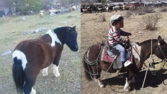 "¿Cómo pueden tener el corazón tan negro?": denunció que le robaron el poni a su hijo de dos años