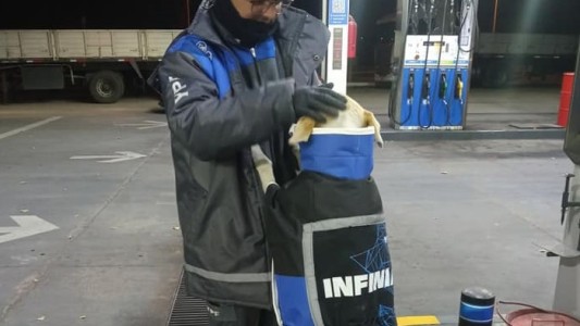 Empleados de una estación de servicio adoptaron una perrita y le hicieron su propio uniforme