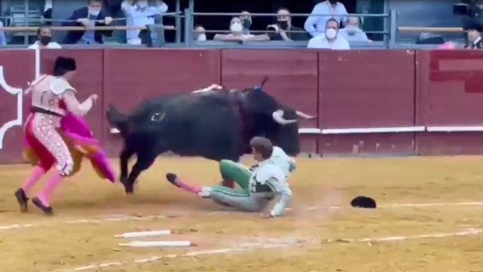 Espeluznante cogida deja a un torero gravemente herido