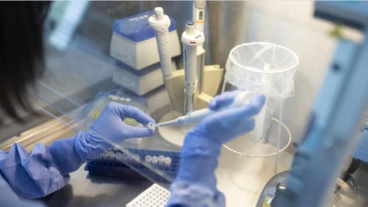 Con una nueva técnica lograron que un tumor se elimine a si mísmo