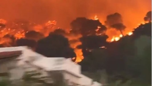 Impresionante incendio devasta 20 kilómetros de bosques en Grecia