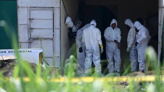 Encontraron 14 cuerpos en la casa de un ex Policía y temen que haya 40 más enterrados