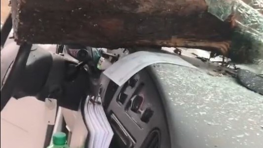 Un gigantesco tronco atravesó el parabrisas de un auto tras un accidente