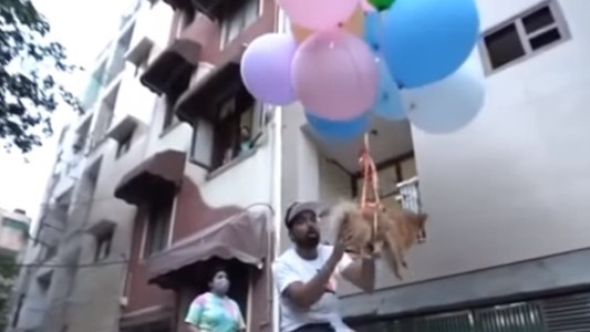 Video: un youtuber hizo volar a un pequeño perro atado a globos de hidrógeno