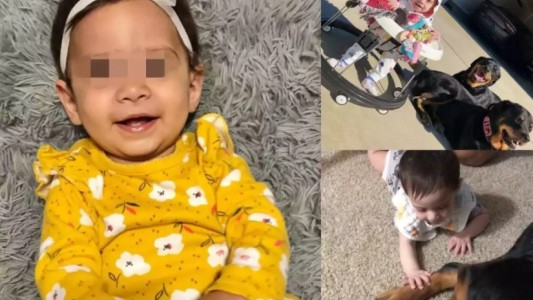 Beba murió tras ser atacada por dos rottweiler de la familia