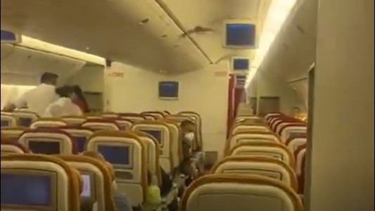 Un avión tuvo que aterrizar de emergencia por un murciélago a bordo