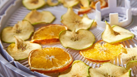 Impulsan proyectos contra el hambre a partir de frutas y cordero deshidratados en hornos solares