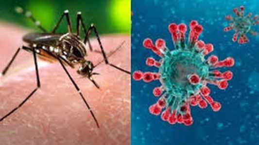 Coinfección: modelo para detectar el contagio simultáneo de coronavirus y dengue