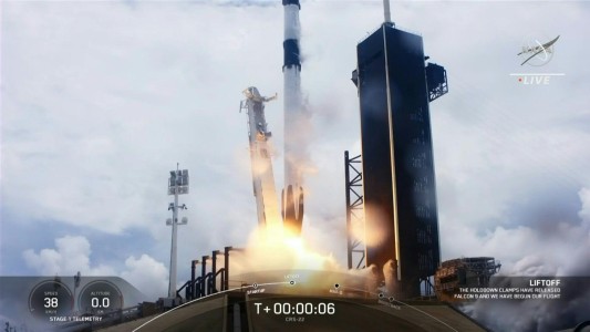 Calamares al espacio: viajan hacia la Estación Espacial Internacional