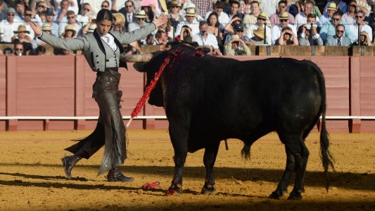 Campaña por redes de una torera para que vuelvan las corridas