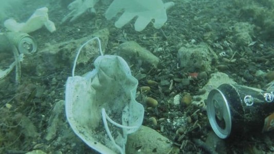 Pronostican que residuos de la pandemia terminarán formando piscinas de microplásticos en los mares