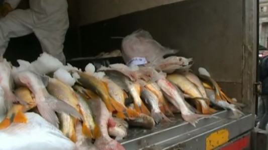 Productores realizarán un "pescadazo" frente al Congreso y venderán productos a $ 100 el kilo