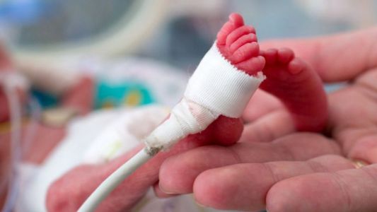 Por orden judicial, realizaron una transfusión de sangre a un bebé prematuro cuyos padres son Testigos de Jehová