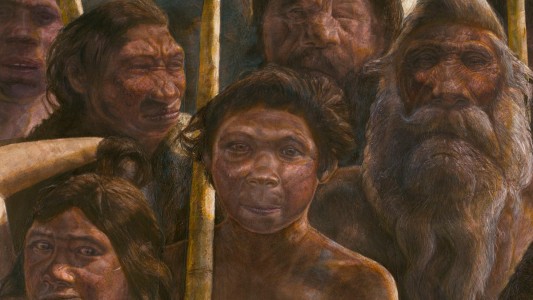 Revelan qué comían los neandertales hace 60.000 años