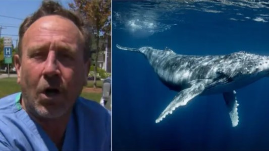 "Estuve en su boca cerrada entre 30 y 40 segundos": dieron de alta al hombre tragado y escupido por una ballena