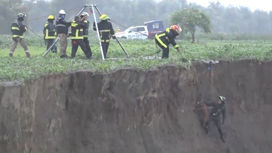 Así rescataron a dos perros que habían caído en el pozo de Puebla