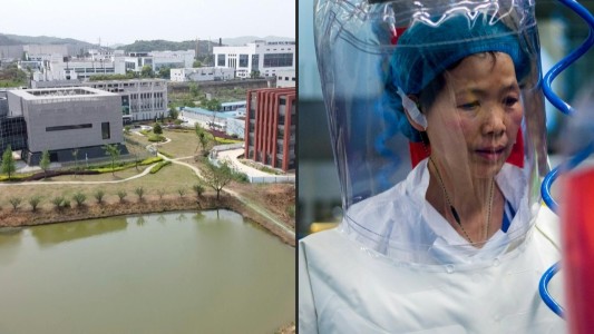 Científica china en el centro de la polémica sobre el origen del covid-19