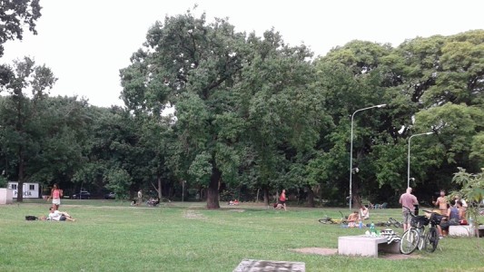 La grieta en el Parque Agronomía: Legislatura vs. Universidad de Buenos Aires