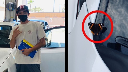 Compró su primer auto y asegura que su mamá muerta se le apareció en forma de mariposa