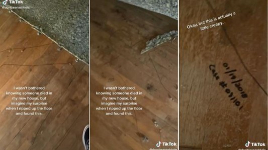 Video: se mudó, levantó el piso de su departamento y encontró una escena del crimen