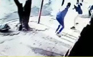 Video: Ataque en manada a una verdulería de Merlo