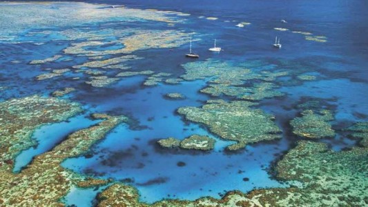 La Gran Barrera de Coral australiana, en riesgo de dejar de ser la octava maravilla del mundo