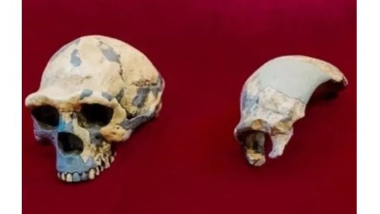 "Hombre Dragón": científicos dicen que nueva especie humana es nuestro antepasado más cercano