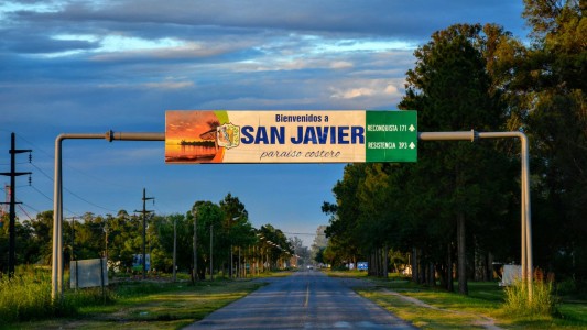 Un proyecto propone la eutanasia para perros callejeros enfermos